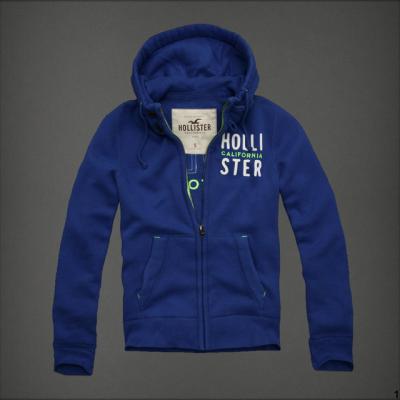 Hollister Men Hoodies-16